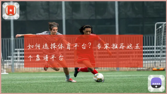 如何选择体育平台？专家推荐这五个靠谱平台