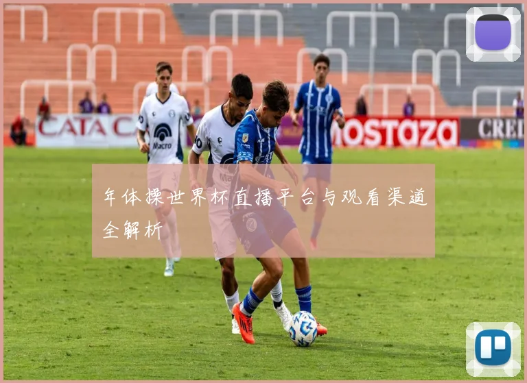 年体操世界杯直播平台与观看渠道全解析